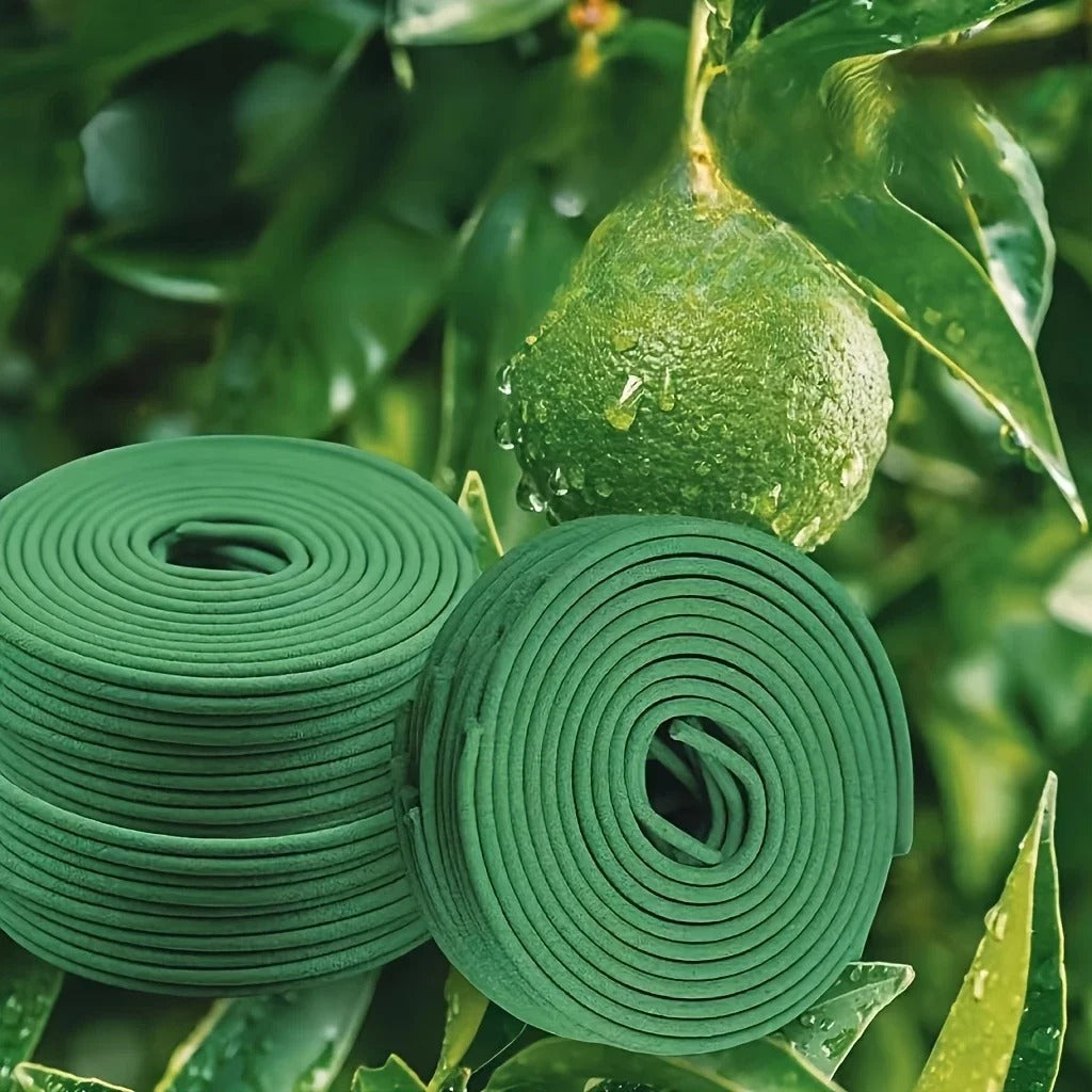 20/40 Pieces of Natural Citronella Coils